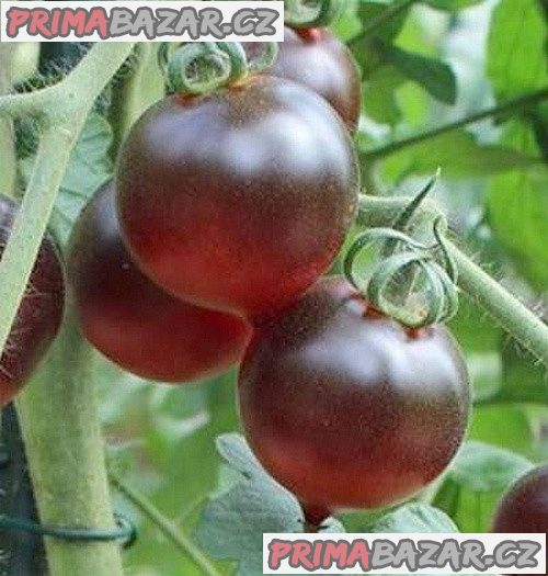 rajce-jolie-coeur-baleni-obsahuje-10-semen