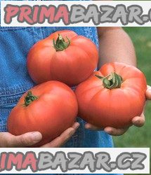 rajce-beefsteak-baleni-obsahuje-10-semen