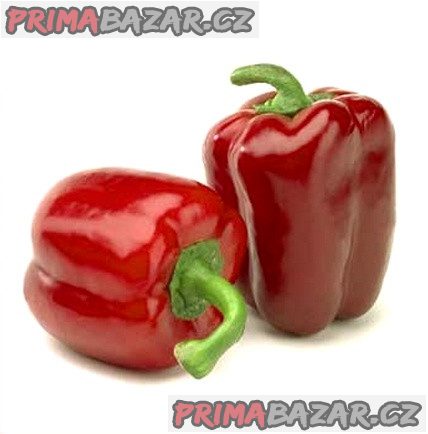 100 x semeno Paprika Rubinova Zvýhodněná nabídka