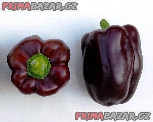 Paprika Chocolate Beauty – Čokoládová kráska Balení obsahuje 10 semen