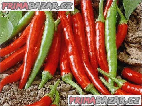 100 x semena Chilli Damián Zvýhodněná nabídka