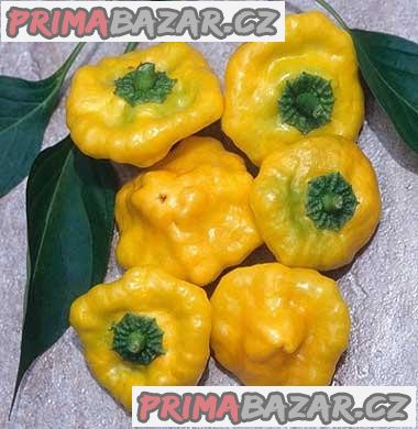 Chilli Jamaican Yellow Balení obsahuje 10 semen