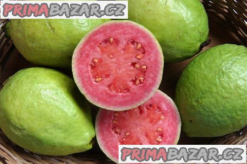 psidium-guajava-kvajava-hruskova-baleni-obsahuje-5-semen