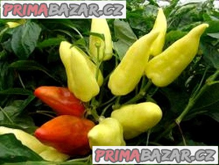 Paprika Anka Balení obsahuje 30 semen