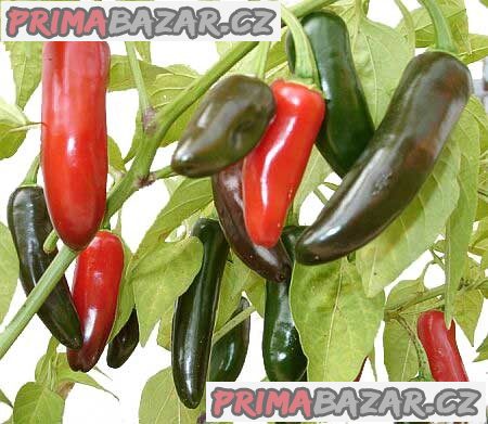 Chilli Jalapeňo Mild Balení obsahuje 15 semen