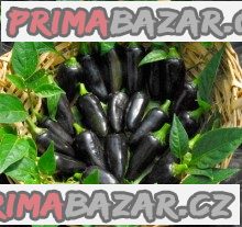 chilli-black-hungarian-baleni-obsahuje-10-semen