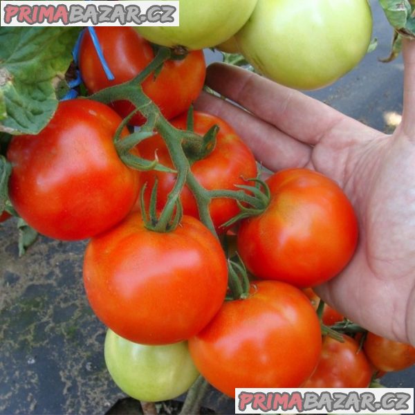 rajce-palava-f1-baleni-obsahuje-20-semen