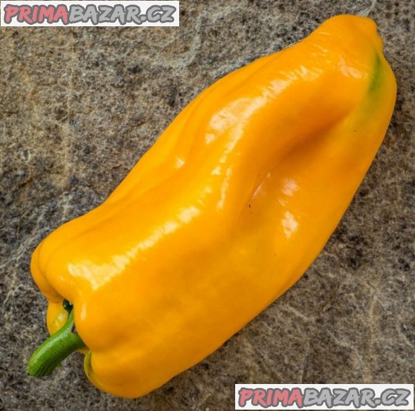 Paprika Patricie Balení obsahuje 30 semen