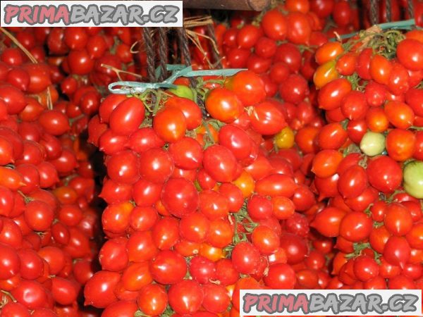 semena rajčat Principe Borghese