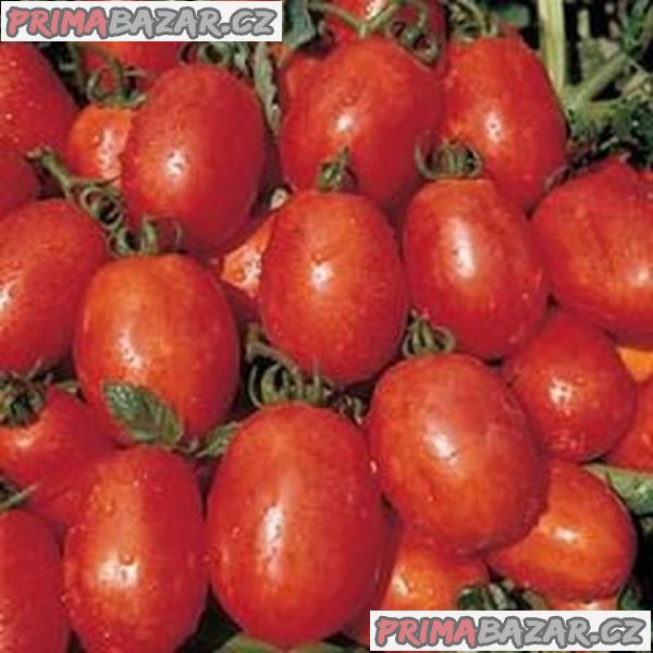semena rajčat Rio Grande