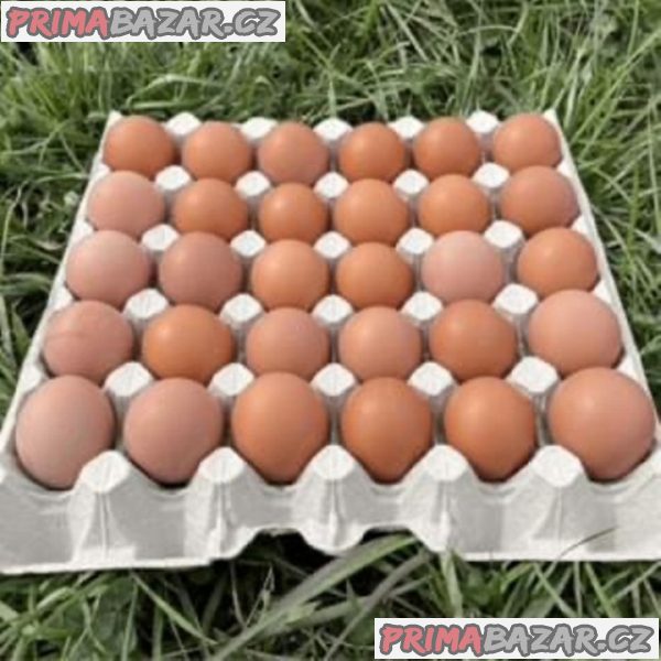 cerstva-domaci-vejce