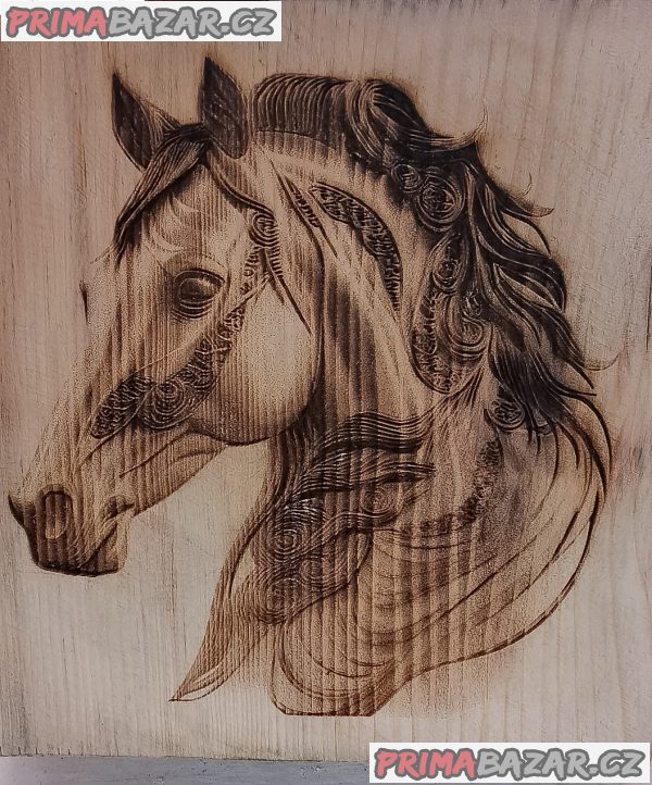 Foto koně ve dřevě