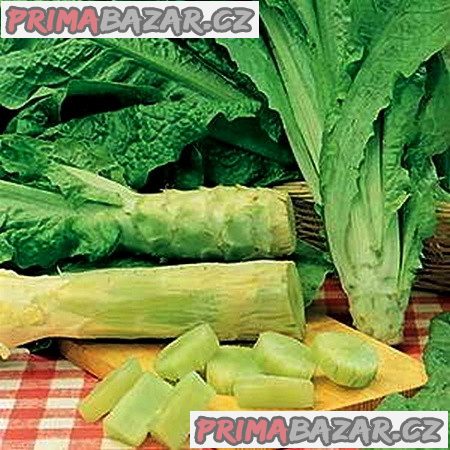 salat-chrestovy-celtuce-semena