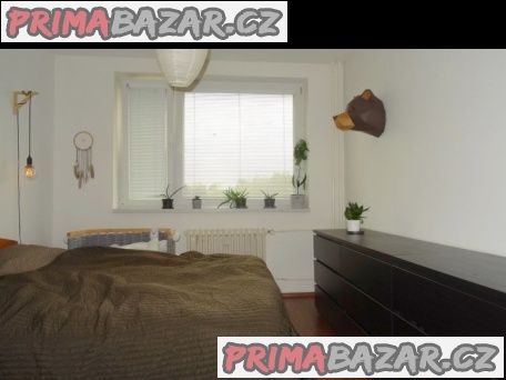 Nabízím pronájem 2+1 , Nový Jičín , od 1.11.2023 Nabízím pronájem 2+1 , Nový Jičín , od 1.11.2023