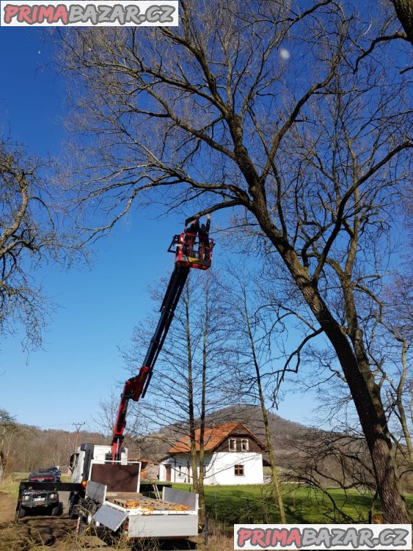 Palivové dřevo - Děčín