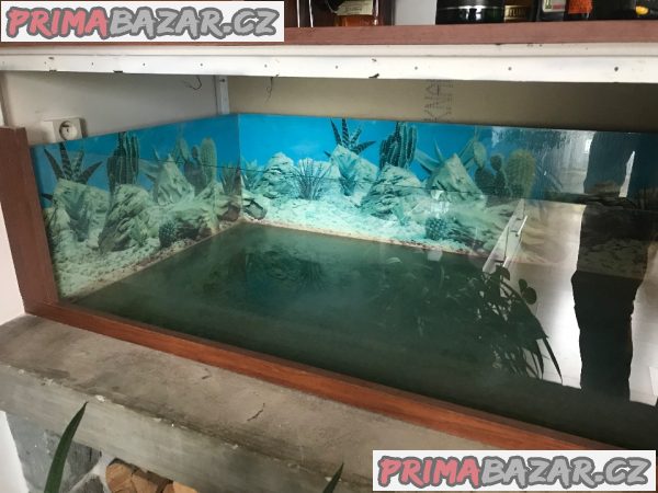 terarium