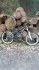 SPECIALIZED BIG HIT 3