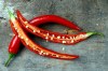 Paprika beraní roh Poseidon - semena