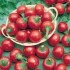 Chilli Ciliegia Picante Satans Kiss - semena
