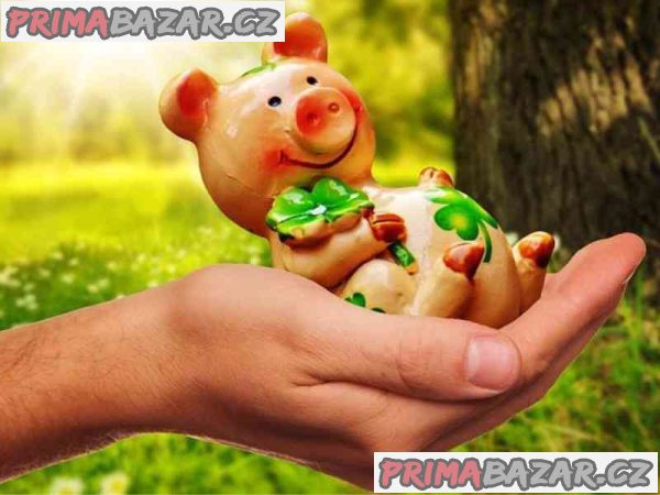 Potřebujete rychlou a bezproblémovou půjčku až 10 000 000 Kč?