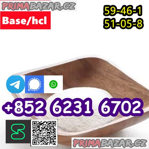 selling Procaine base CAS 59-46-1 /51-05-8 / procaine hcl and base sale Holland selling Procaine base CAS 59-46-1 /51-05-8 / procaine hcl and base sale Holland