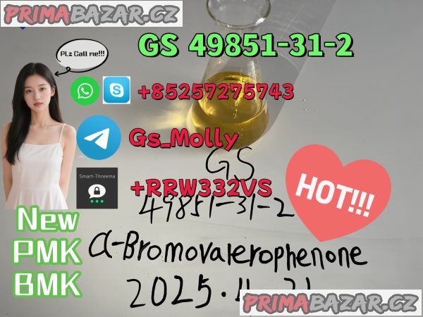 GS 49851-31-2 Chemical Oil With Top Quality New PMK