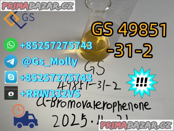 Wholesale GS 49851-31-2 factory price