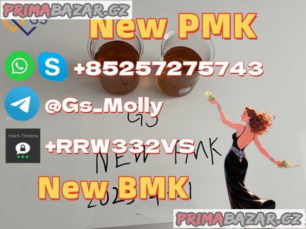 GS New Pmk Powder sodium salt China Supplier