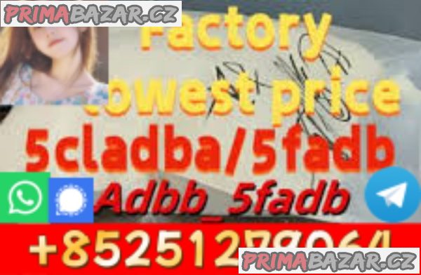 best price 4f-adb 2cl-adbb 5f-mdma 6cl-ad-b-a 2f-dck apvp appp