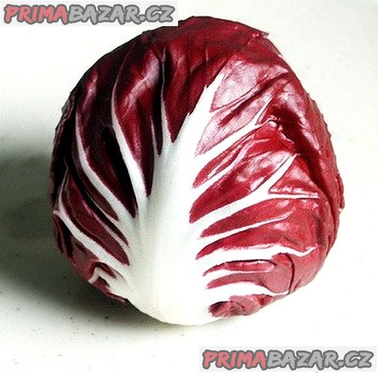 cekanka-salatova-palla-rossa-semena