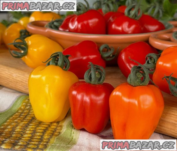 sazenice-rajce-appleberry-f1-orange