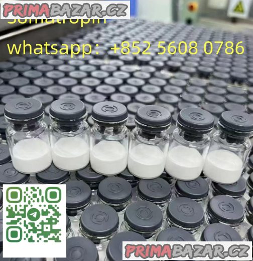 CAS:9002-72-6 Somatropin