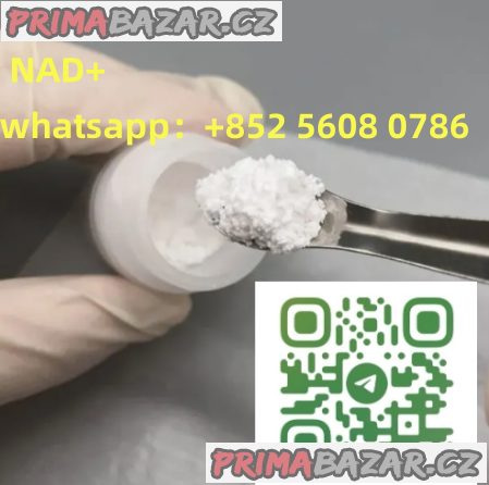 CAS:53-84-9 NAD+