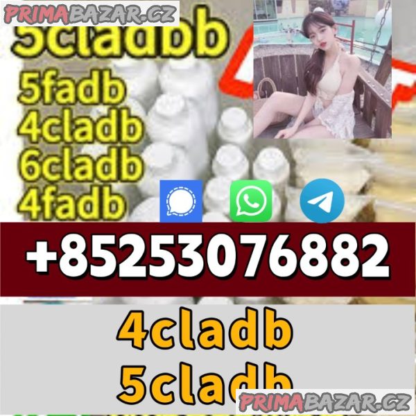 3cladbb 3fadb 5cladba low price 4fadb 4cladbb 3cladbb 3fadb 5cladba low price 4fadb 4cladbb