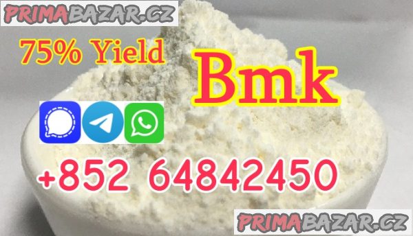cas5449-12-7 Sodium salt BMK Glycidic Acid new bmk powder