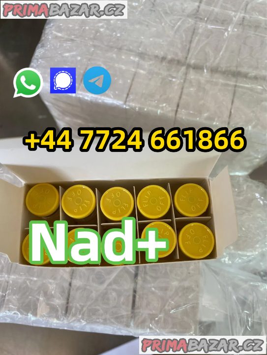 Beta-Nicotinamide Adenine Dinucleotide(NAD+)  CAS  53-84-9 98.5%