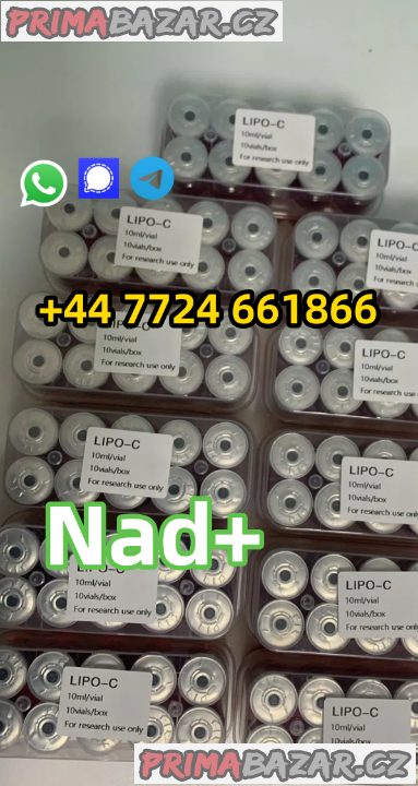 Beta-Nicotinamide Adenine Dinucleotide(NAD+) CAS 53-84-9 98.5% Beta-Nicotinamide Adenine Dinucleotide(NAD+) CAS 53-84-9 98.5%