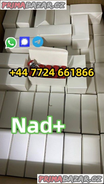 Beta-Nicotinamide Adenine Dinucleotide(NAD+) powder manufacturer CAS 98.5% purity min.