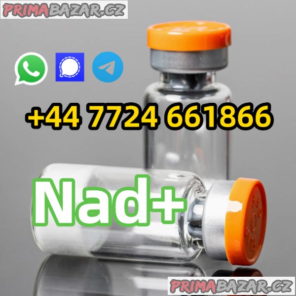 CAS 53-84-9 β-Nicotinamide adenine dinucleotide NAD+