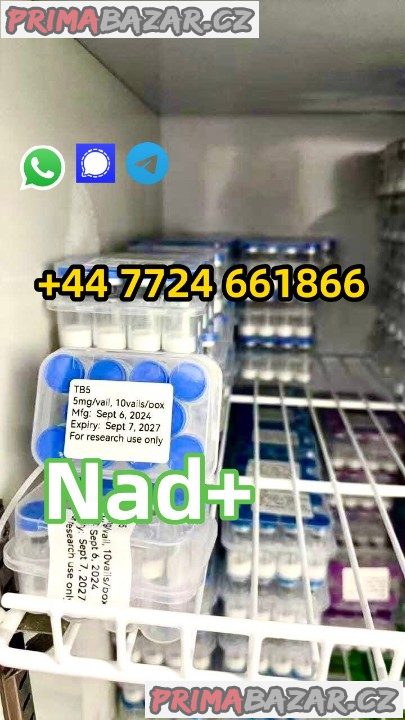 CAS 53-84-9 β-Nicotinamide adenine dinucleotide NAD+ CAS 53-84-9 β-Nicotinamide adenine dinucleotide NAD+