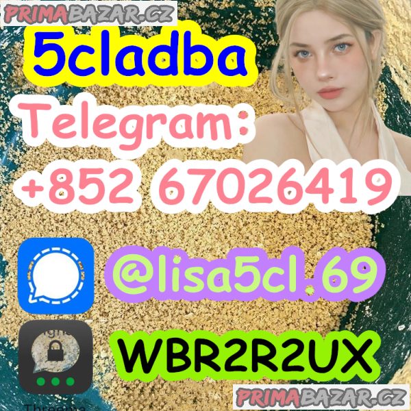 Strongest 5cladba Raw Material 5CL-ADB Precursor