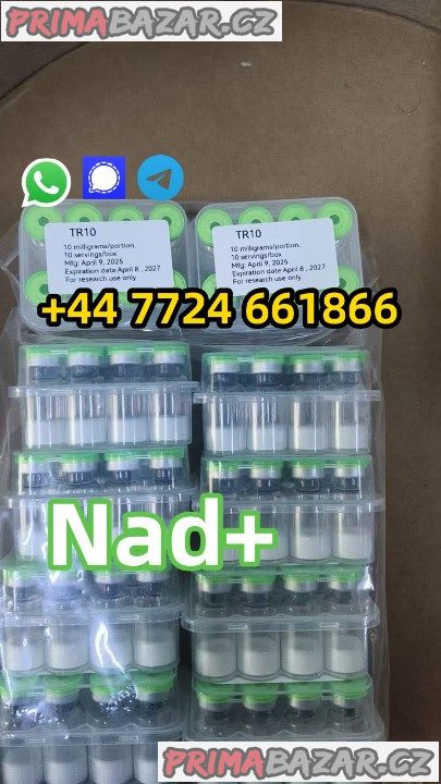 CasNo.53-84-9,β-Nicotin nad+