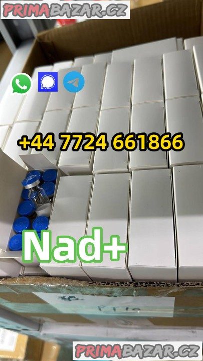 CasNo.53-84-9,β-Nicotin nad+ CasNo.53-84-9,β-Nicotin nad+