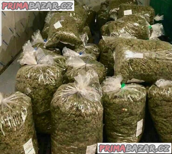 Koupit pervitin, GHB, extázi, efedrin, marihuanu, kokain, heroin, mefedron ketamin