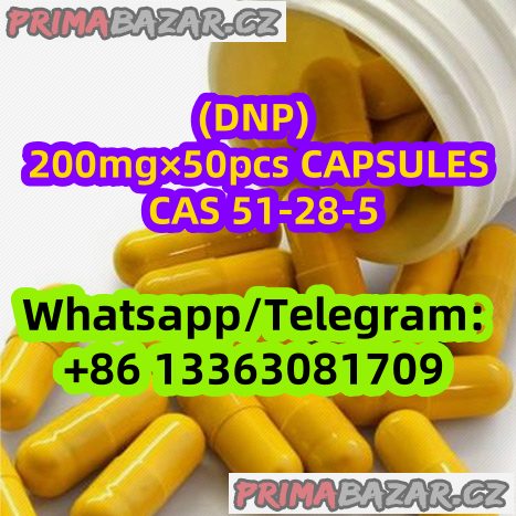 DNP Orals 200mg×50pcs Capsules Tablets CAS 51-28-5