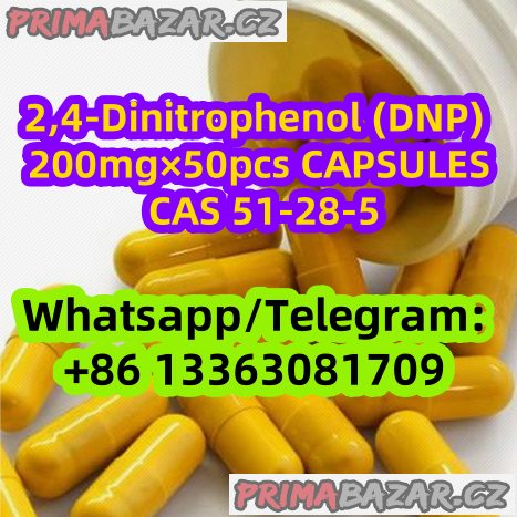 DNP Orals 200mg×50pcs Capsules Tablets CAS 51-28-5 DNP Orals 200mg×50pcs Capsules Tablets CAS 51-28-5