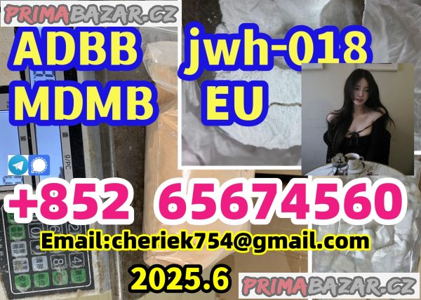 wasap/telegram/signal/messenger+852 65674560