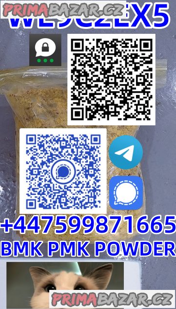 New PMK Oil CAS 28578-16-7 /1369021-80-6