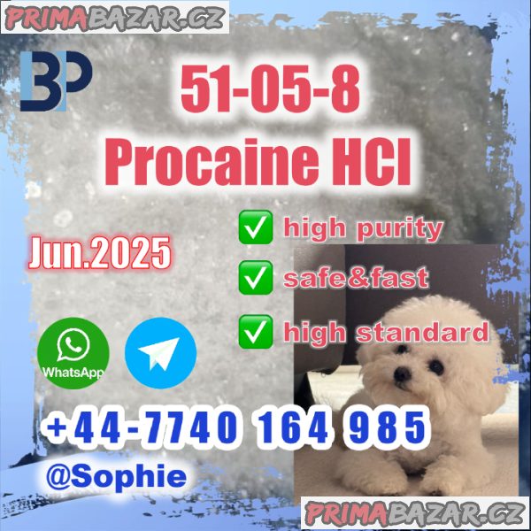 51-05-8 Procaine HCl raw materials factory price