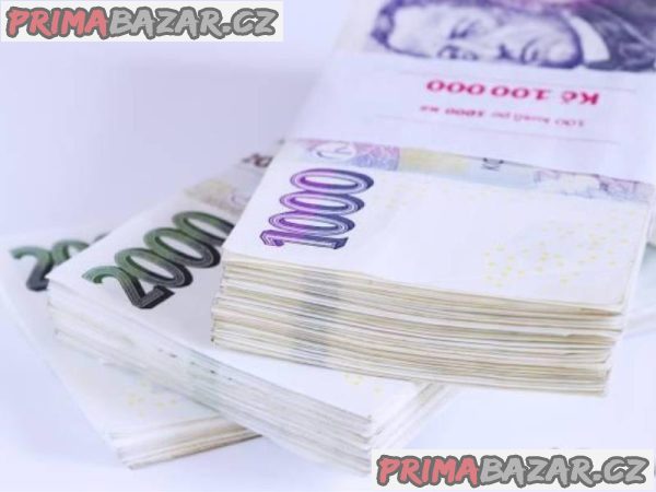 Pomoc od soukromého investora